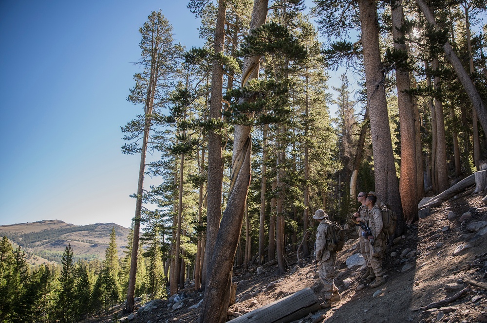 Marines learn land navigation in mountainous terrain