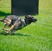 MWD unleashed