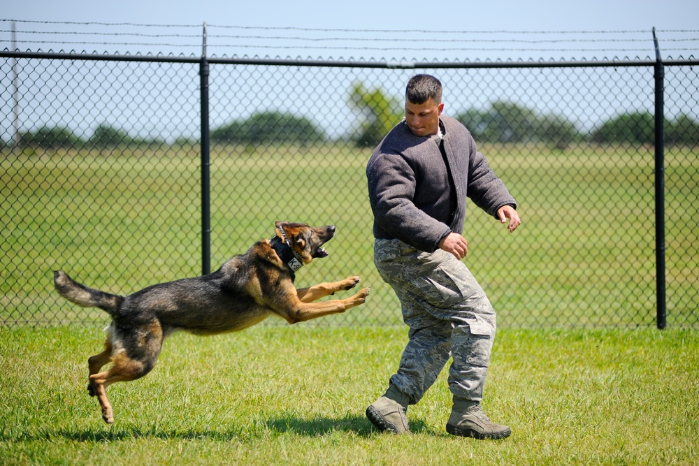 MWD unleashed