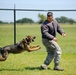 MWD unleashed