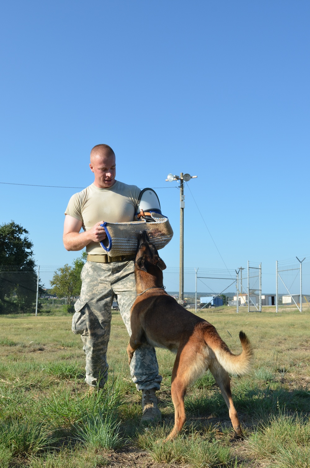 Military dog handler trains Miltary Police Dog