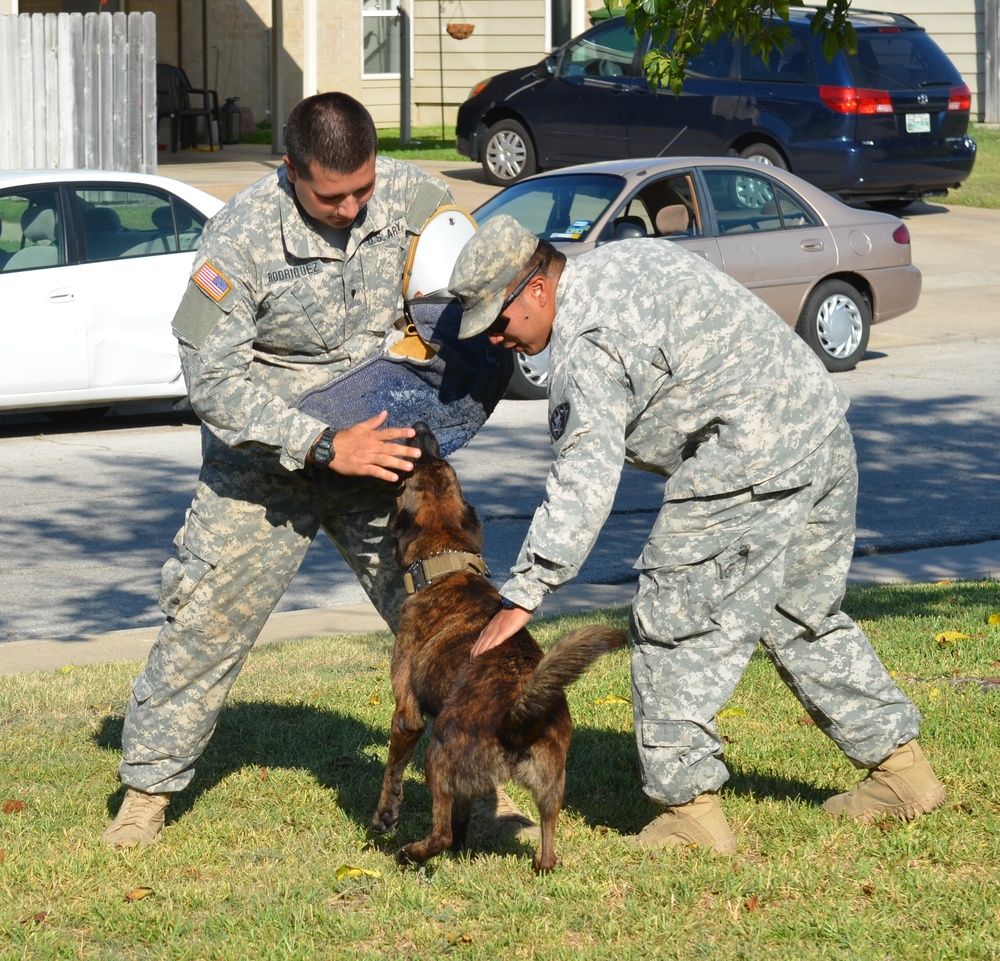 Military Working Dog assists Military Police