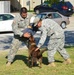 Military Working Dog assists Military Police