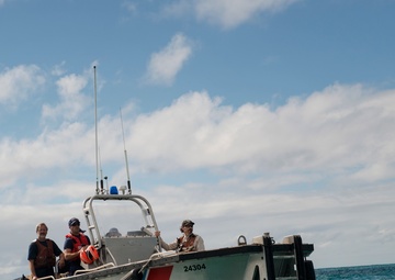 US Coast Guard helps translocate endangered Laysan ducks