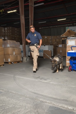 Dogs Bombs and Drugs ... K-9 Training
