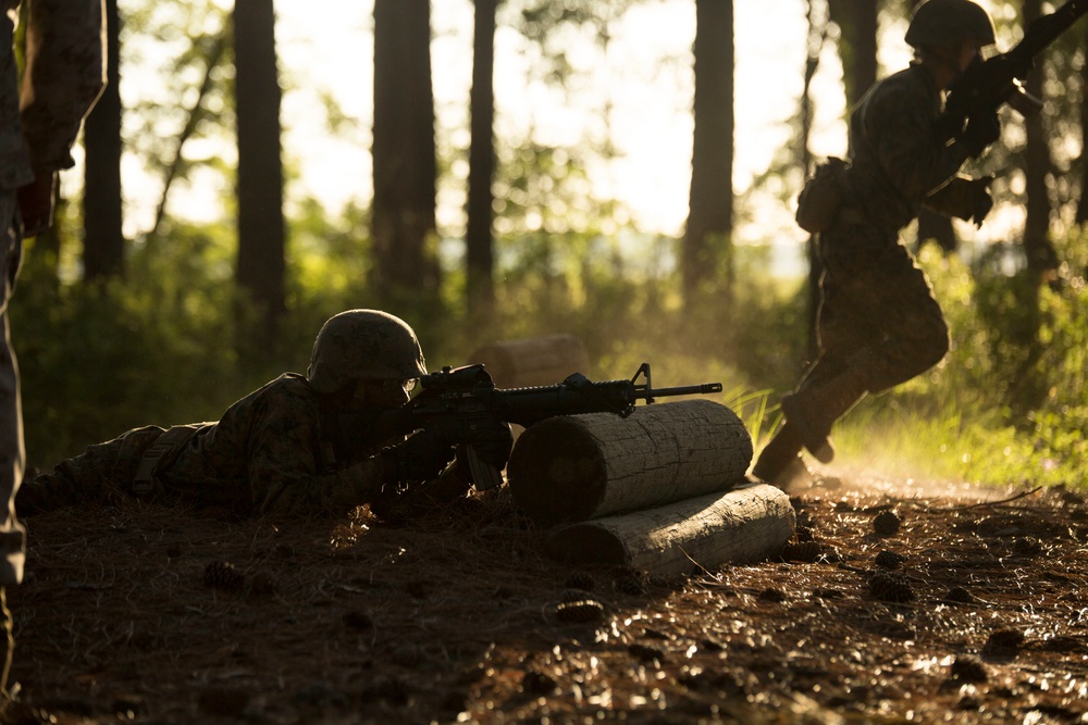 Photo Gallery: Marine recruits complete combat training course on Parris Island