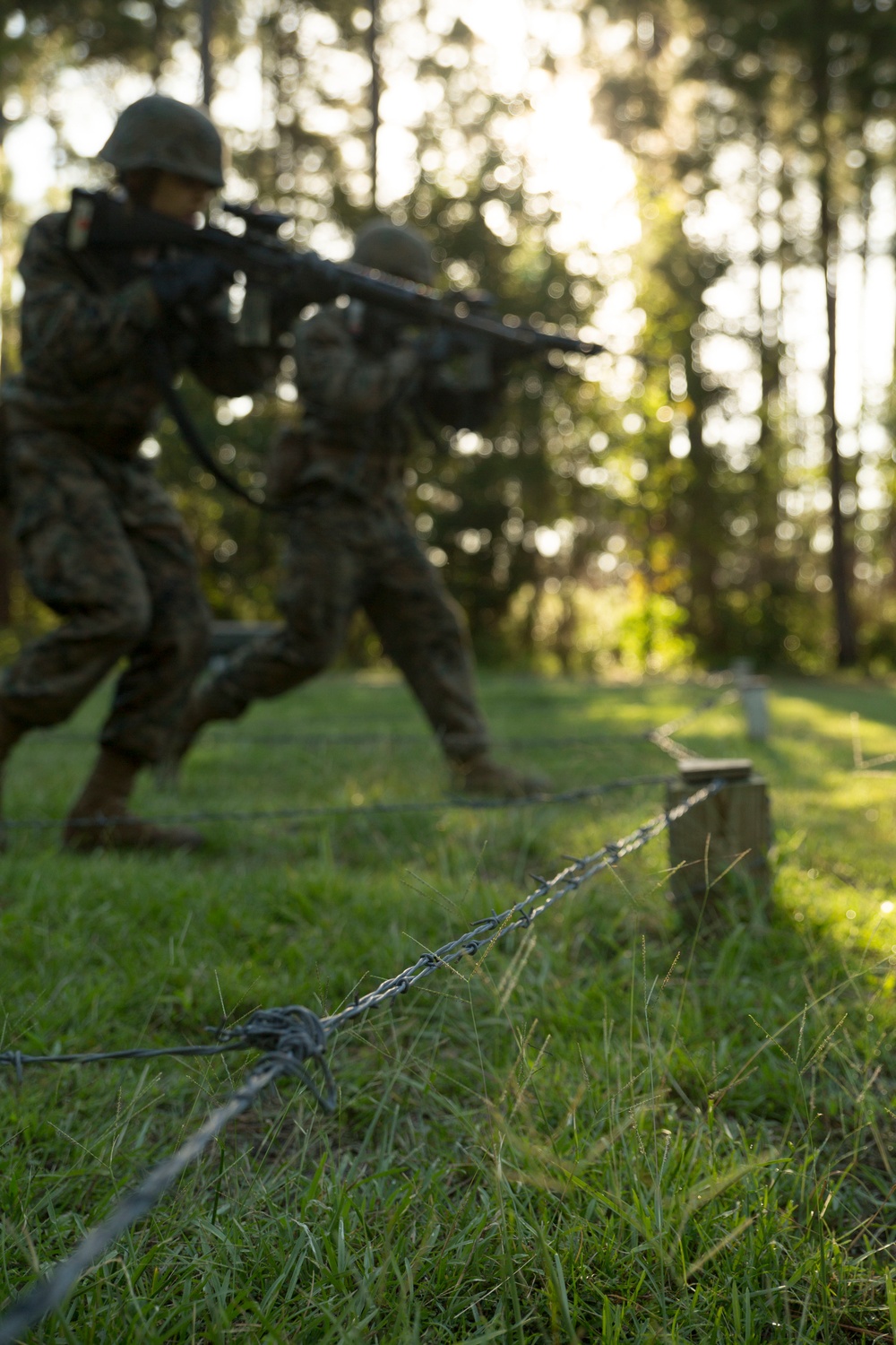 Photo Gallery: Marine recruits complete combat training course on Parris Island