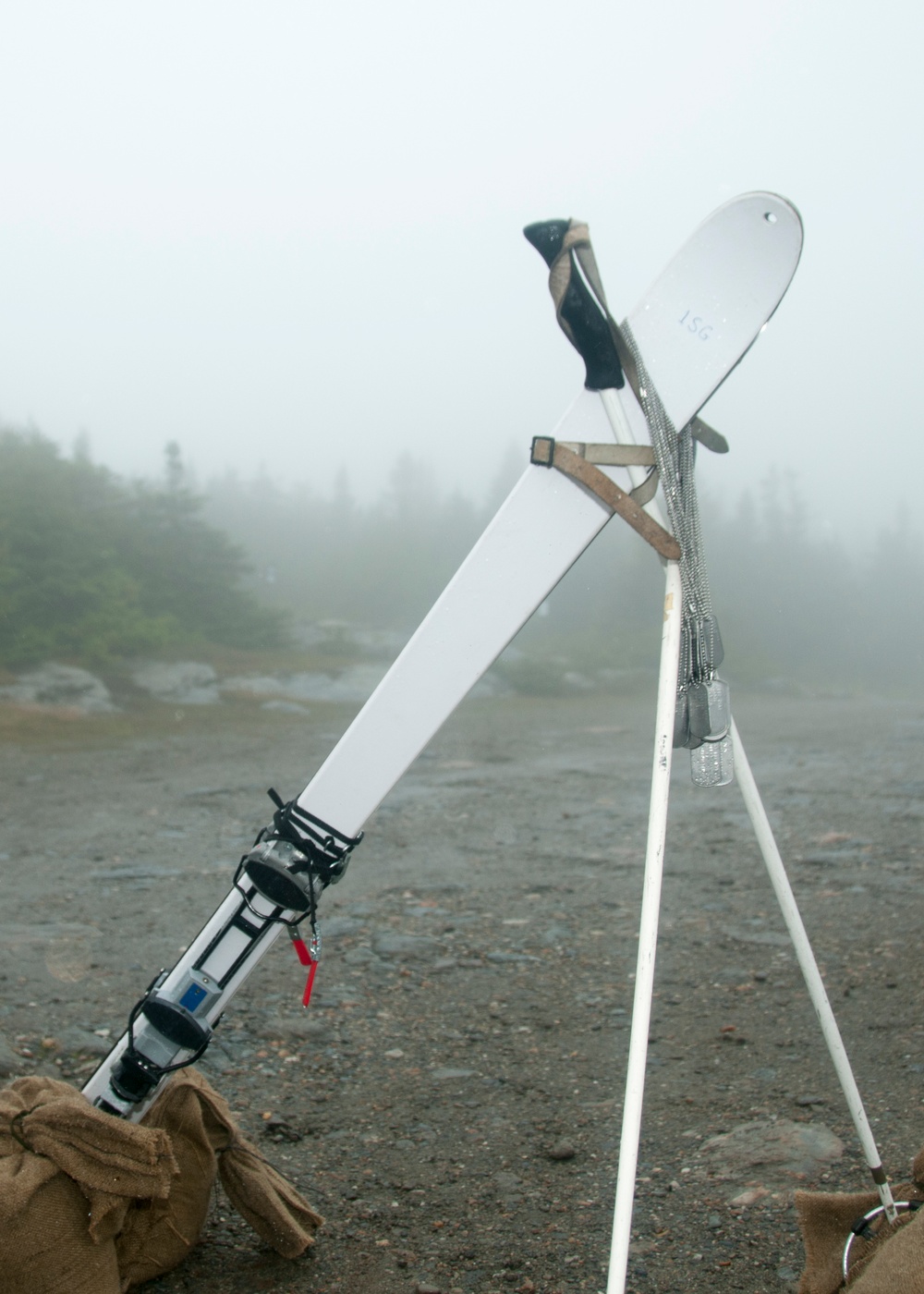 Dog tags on skis