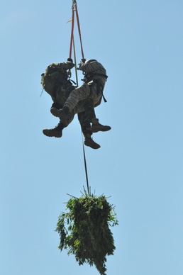 Operation Trident 2010