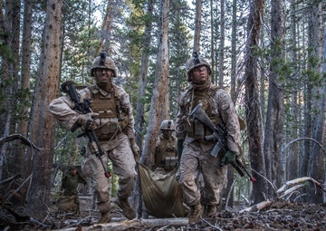 Marines close with and destroy