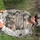 A U.S. Army soldier in full combat gear stands in an outdoor field environment. The soldier, identified by a name tape reading 'ROBERTS', is wearing Army Combat Uniform (ACU) digital camouflage pattern with body armor, helmet, and tactical equipment. The soldier appears to be holding a document and a rifle during what appears to be a field training exercise.
