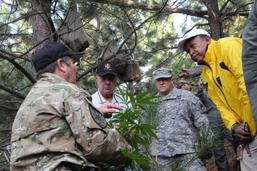 Operation Mountain Sweep