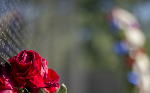 Family of MOH recipient Sloat makes solemn visit to Vietnam Wall