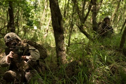 Infantry Marines play vital role in Valiant Shield 2014