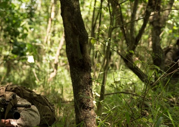 Infantry Marines play vital role in Valiant Shield 2014