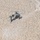Apache attack helicopter fires Hellfire missile