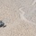 Apache attack helicopter fires a Hellfire missile