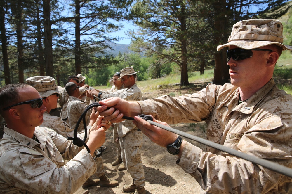 Marines train resupply techniques with pack animals > United