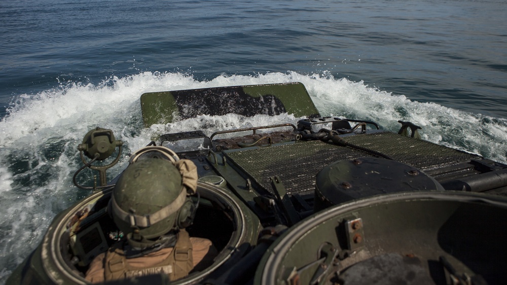 Attack of the Tracks: 2nd Assault Amphibian Battalion conducts ship operation