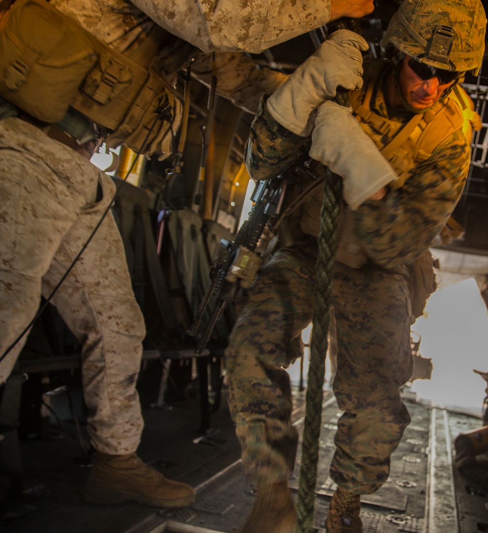 Developing the Leaders of Tomorrow: Infantry Officer Course at MCAS Yuma