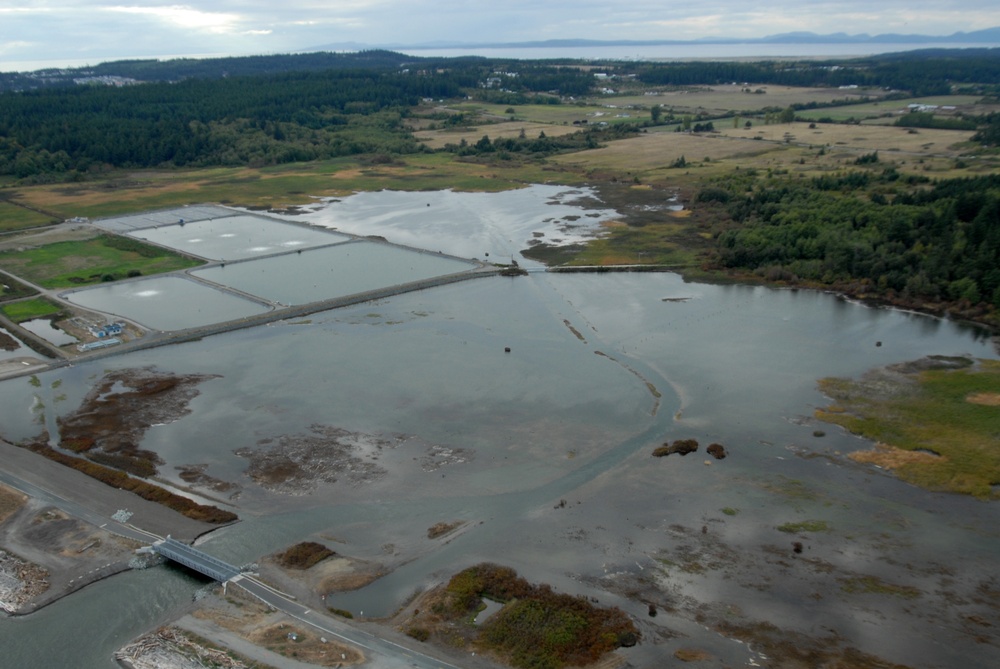 Crescent Harbor Salt Marsh
