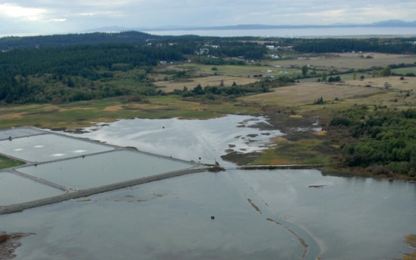 Crescent Harbor Salt Marsh