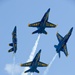 NAS Oceana Air Show