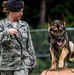 Military Working dogs train at JB Charleston