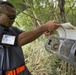 Marines, USDA prevent brown tree snakes from arriving on Tinian