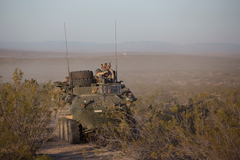 Desert Scimitar