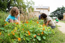Charity receives bumper crop of aid from Arlington House garden