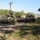 1st Cavalry arrives in Poland A column of military armored vehicles is staged along a dirt road in a rural, wooded area. The vehicles appear to be US Army Bradley Fighting Vehicles and M113-type armored personnel carriers in desert/tan camouflage paint. Several soldiers are visible on and around the vehicles, suggesting a halt or assembly point during a military exercise or convoy movement.