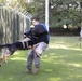 Military working dog training