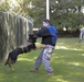 Military working dog training