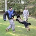 Military working dog training