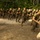 Photo Gallery: Marine recruits gain sense of discipline, motivation through incentive training on Parris Island