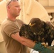 Eagle rescued by Iraq marines