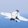 USS George H.W. Bush action