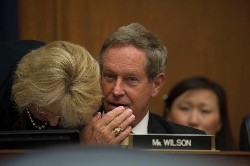 Defense leaders testify before house