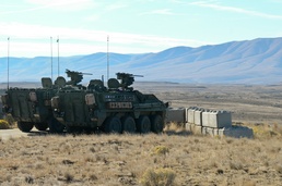 Arrowhead Stryker crew comes together as a team