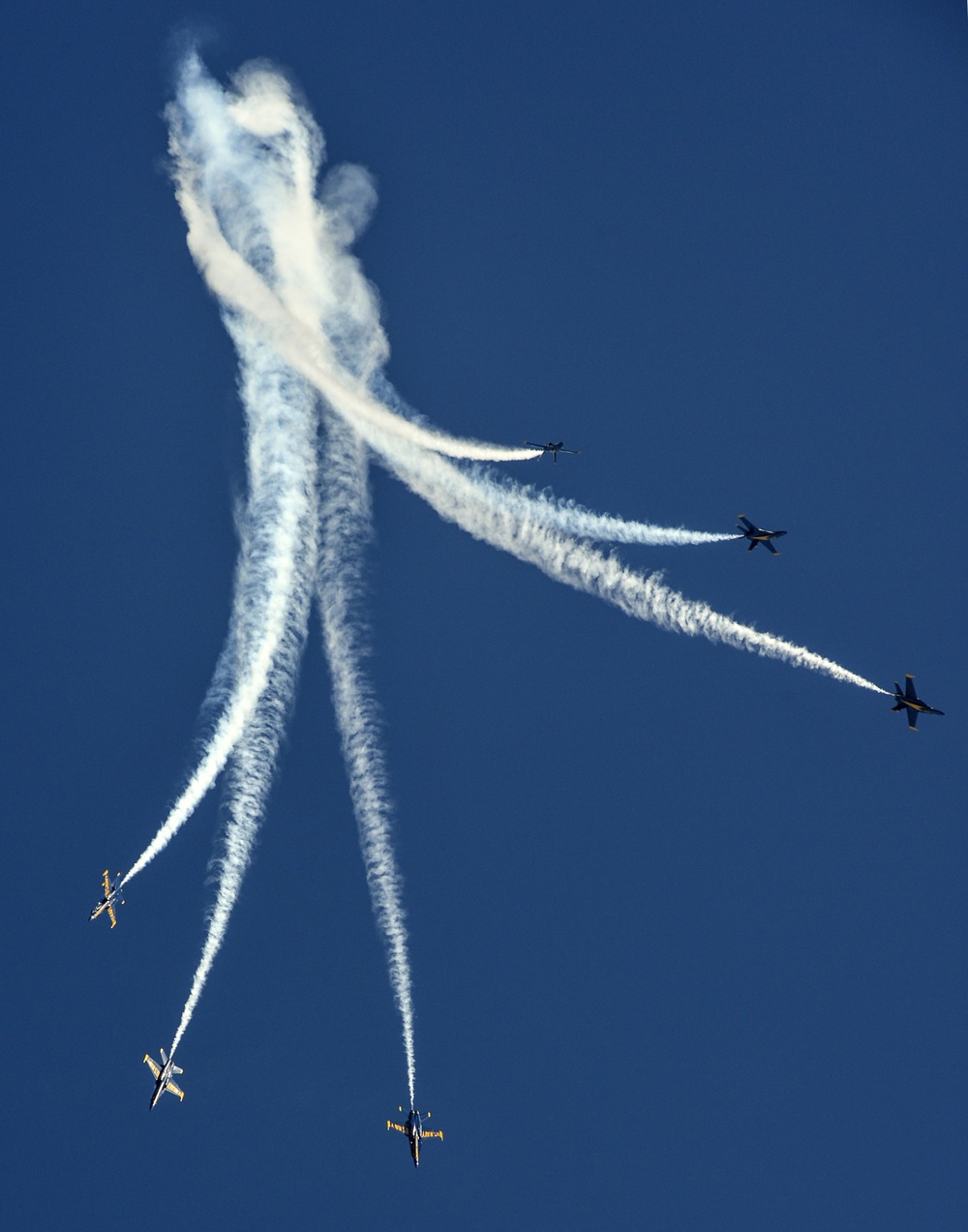 Wings Over the Pacific Air Show