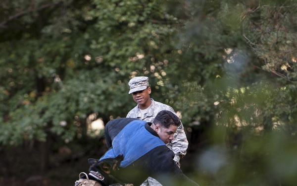 100th Military Working Dog Detachment