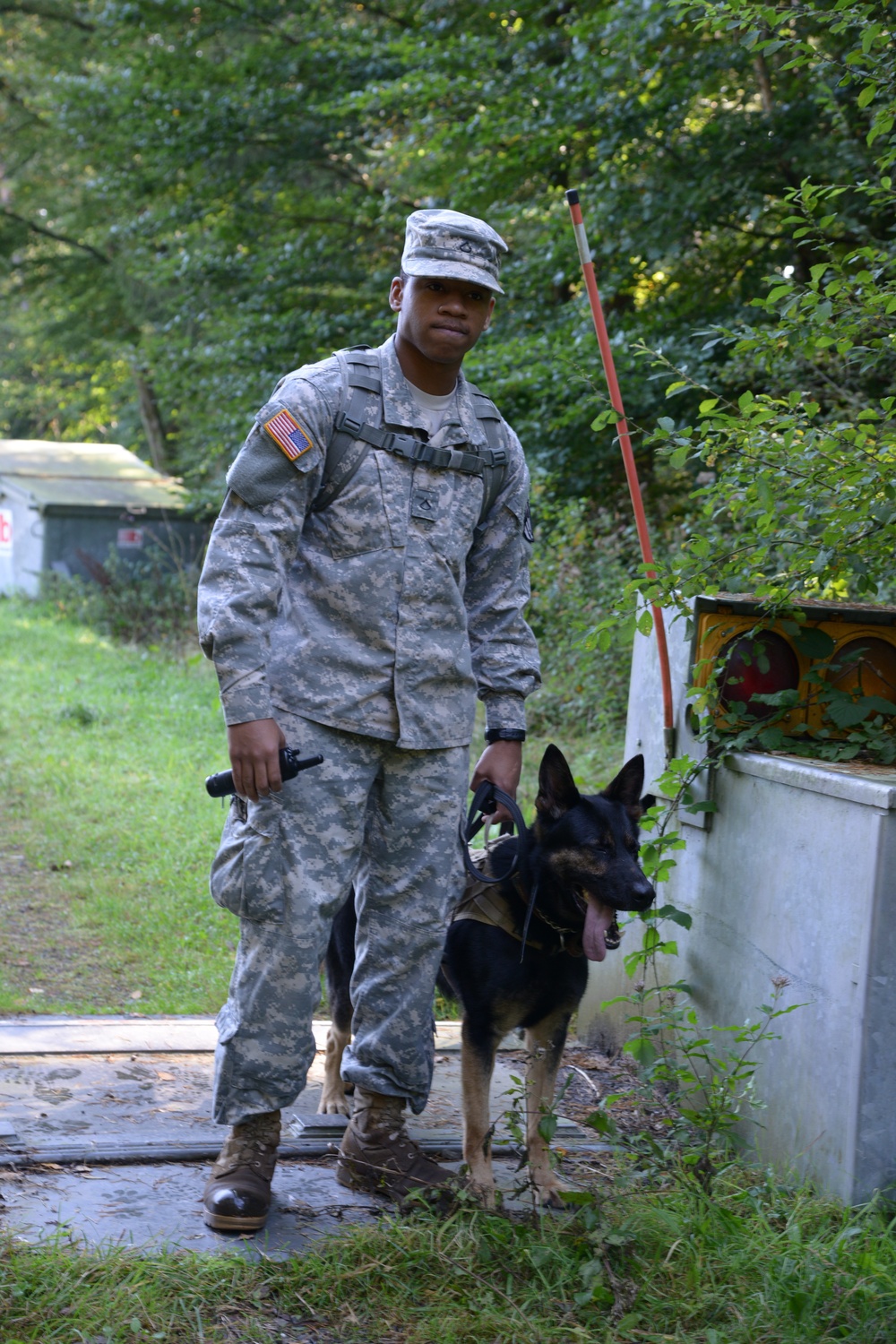 Military Working Dog exercise