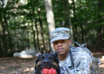 Military Working Dog exercise