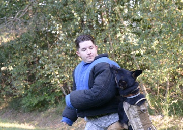 Military Working Dog exercise