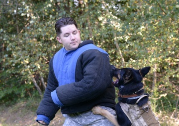 Military Working Dog exercise