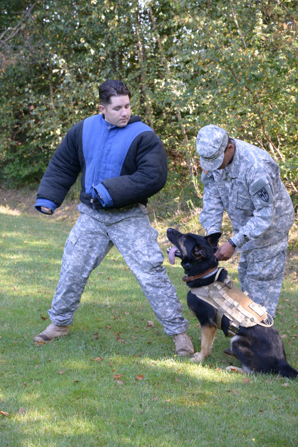 Military Working Dog exercise