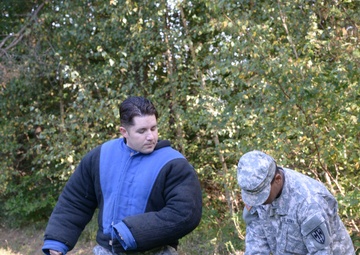Military Working Dog exercise