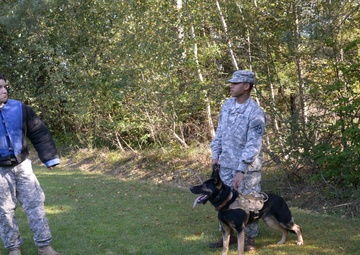 Military Working Dog exercise