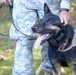 Military Working Dog exercise